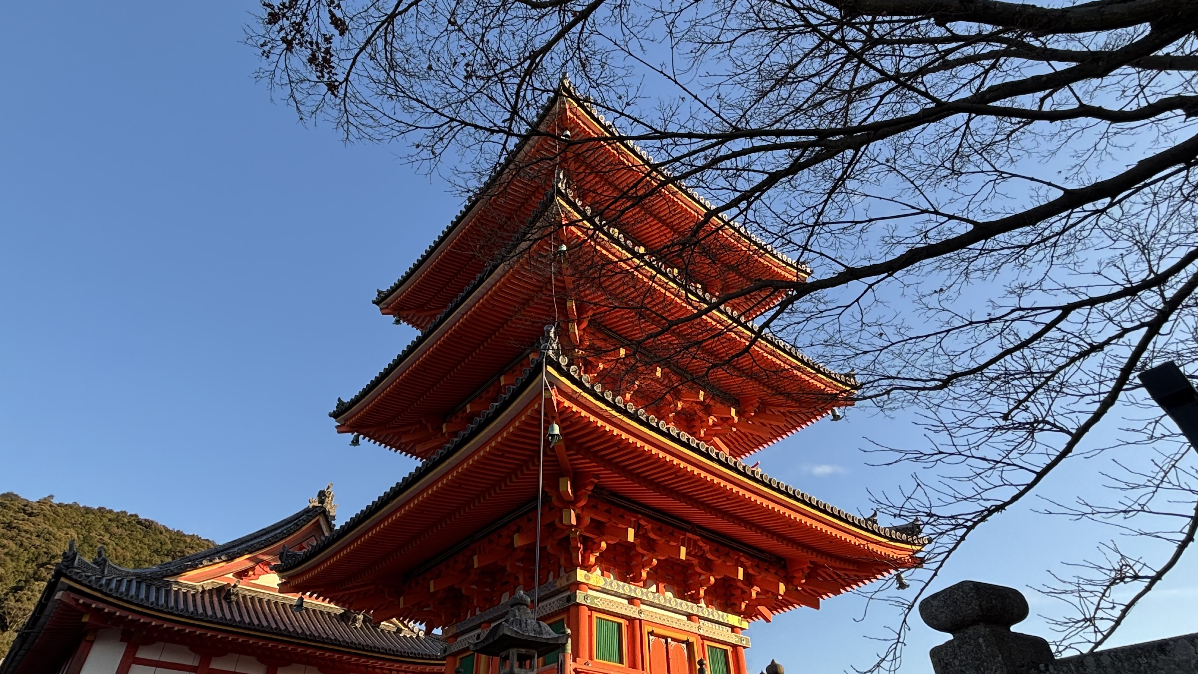 A stunning tower