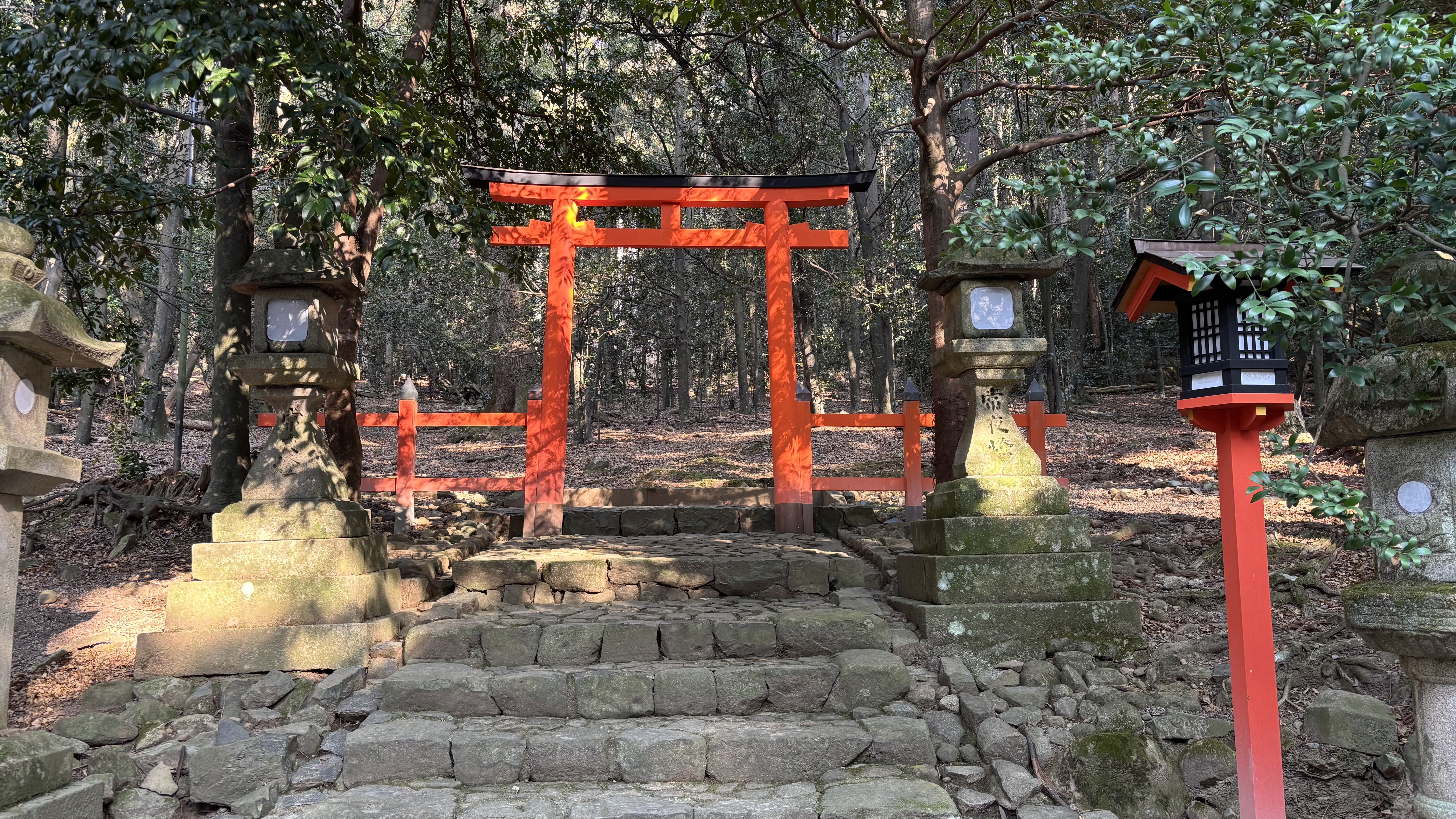 Torii